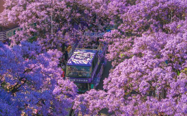 服务繁荣文旅市场麻将胡了以更优(图11)