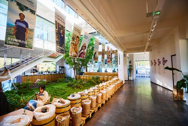 验咖啡文化深入了解背后的文化故事PG麻将胡了普洱北归咖啡庄园体(图4)